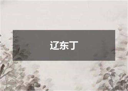 辽东丁
