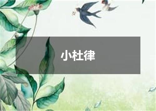 小杜律
