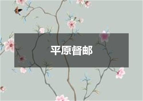 平原督邮
