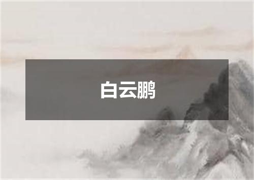 白云鹏