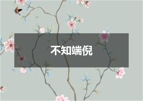 不知端倪