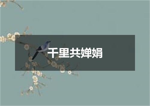 千里共婵娟