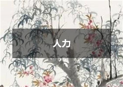 人力