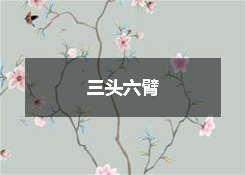 三头六臂