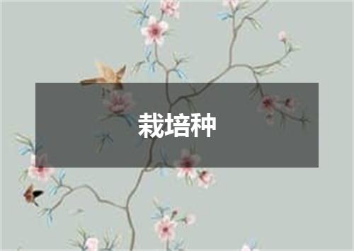 栽培种