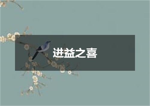 进益之喜