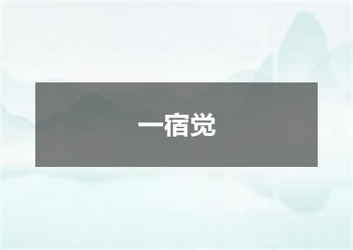 一宿觉