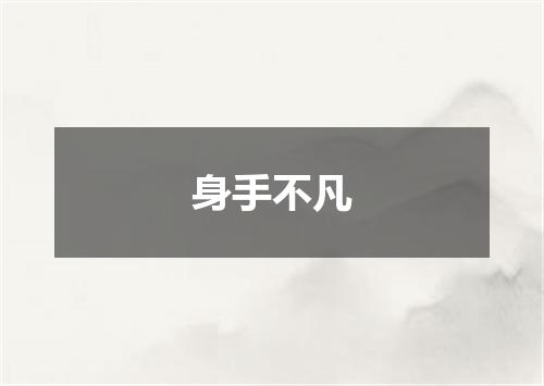 身手不凡