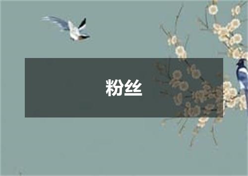 粉丝