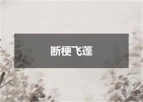 断梗飞蓬