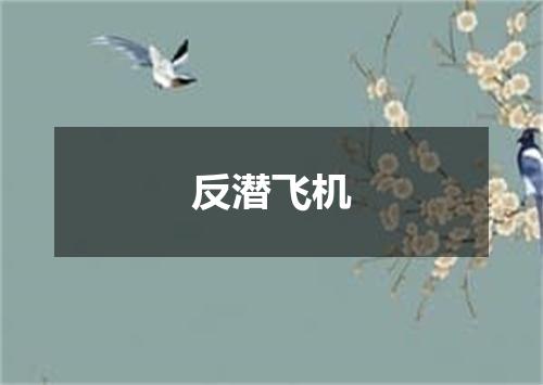 反潜飞机
