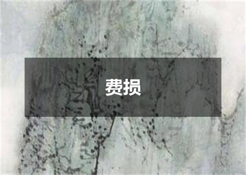 费损