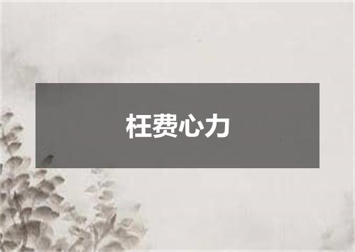 枉费心力