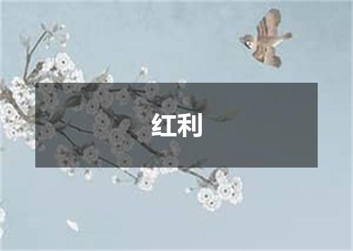 红利
