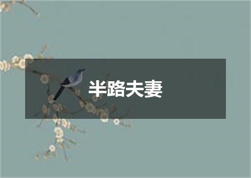 半路夫妻