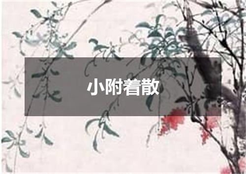 小附着散