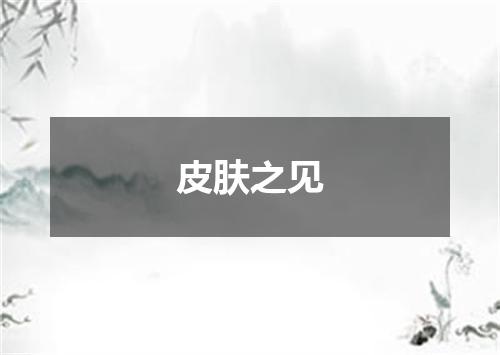 皮肤之见