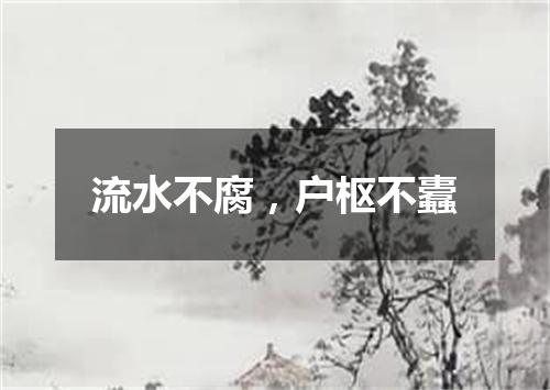 流水不腐，户枢不蠹