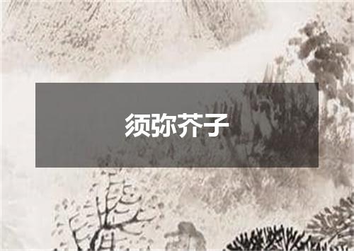 须弥芥子