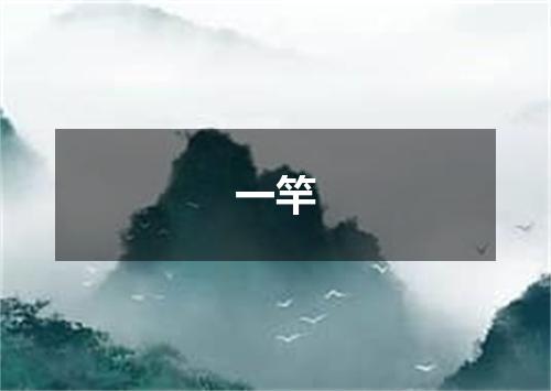 一竿