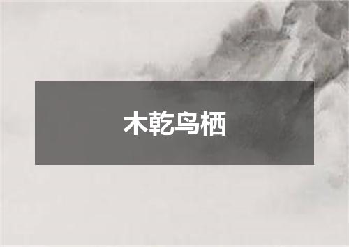 木乾鸟栖