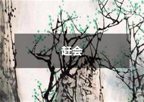 赶会