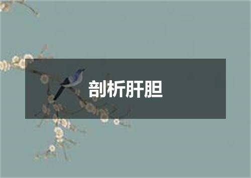剖析肝胆