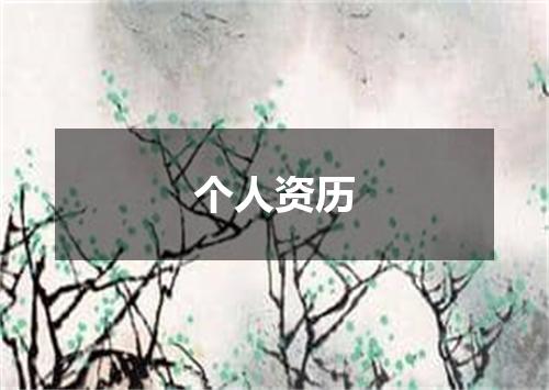 个人资历
