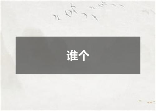 谁个