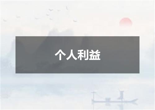 个人利益