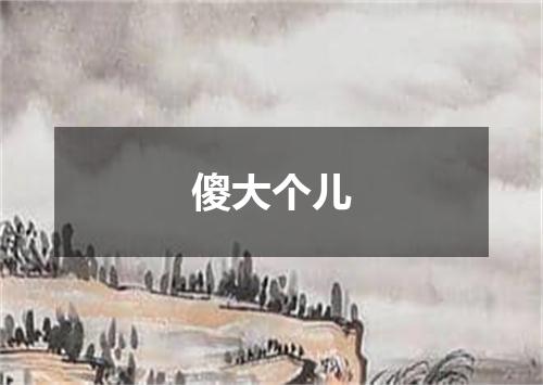 傻大个儿