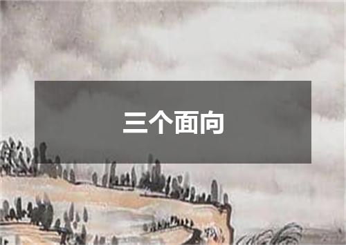 三个面向