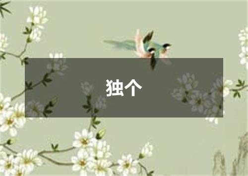 独个