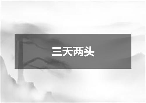 三天两头
