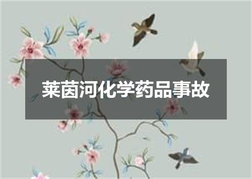 莱茵河化学药品事故