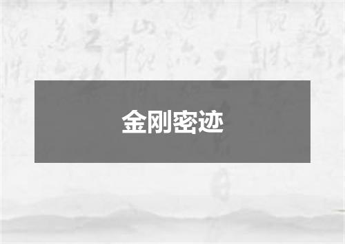 金刚密迹
