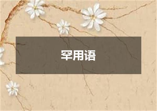 罕用语