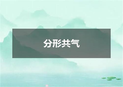 分形共气