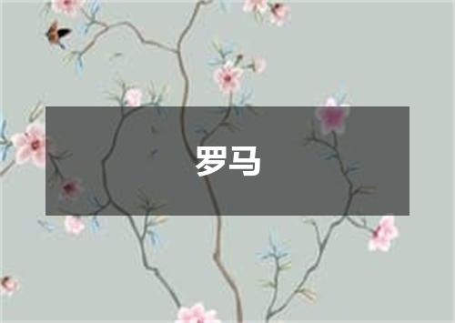 罗马