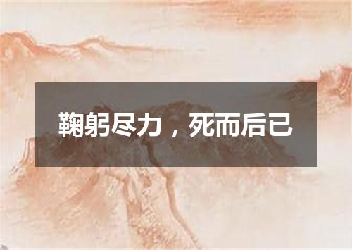 鞠躬尽力，死而后已