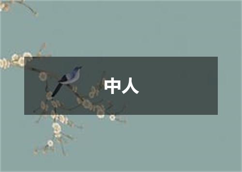 中人