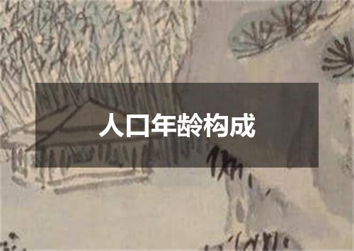 人口年龄构成