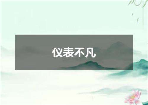 仪表不凡