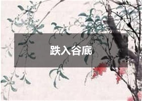 跌入谷底
