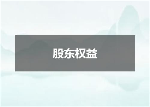 股东权益