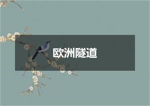 欧洲隧道