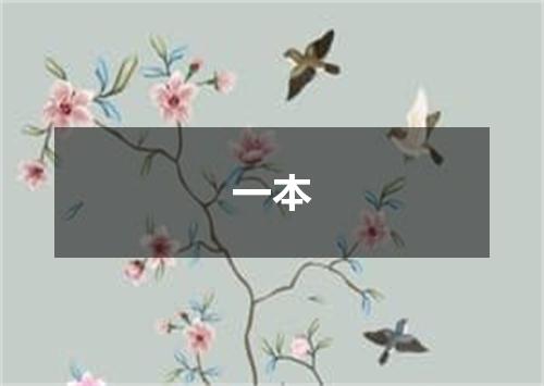 一本