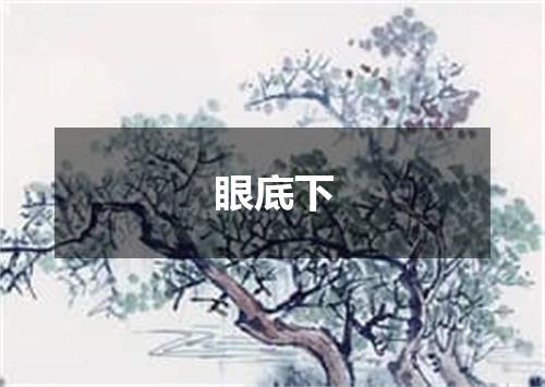 眼底下