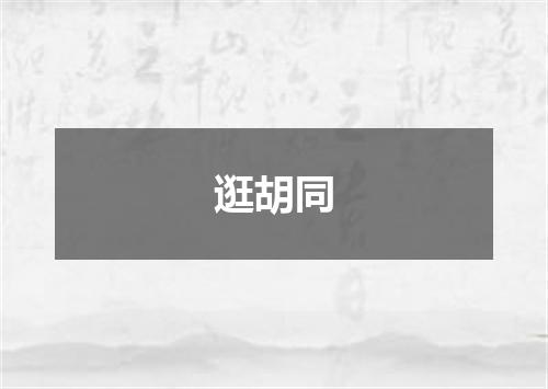 逛胡同