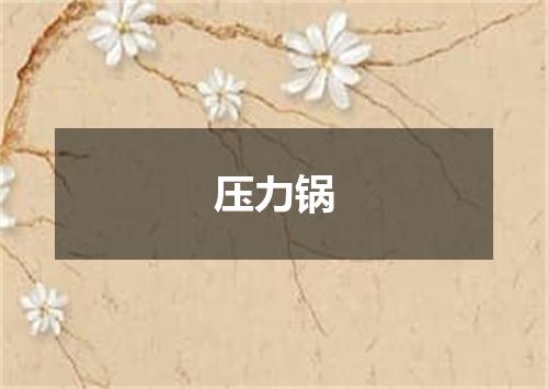 压力锅